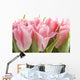 Pink Tulips