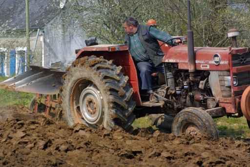 Agriculteur Au Labour Wall Decal