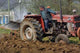 Agriculteur Au Labour Wall Decal