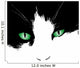 green eyes Wall Decal
