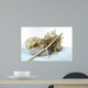 Ambiance Zen Et Spa