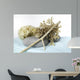 Ambiance Zen Et Spa