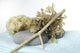 Ambiance Zen Et Spa
