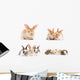 baby bunny rabbits Wall Decal