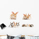baby bunny rabbits Wall Decal