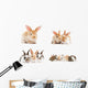 baby bunny rabbits Wall Decal