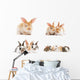 baby bunny rabbits Wall Decal