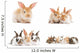 baby bunny rabbits Wall Decal