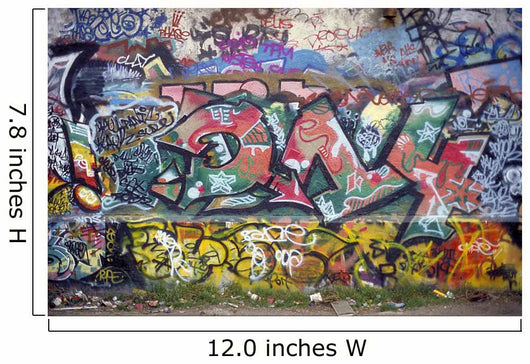 Graffiti Wall Mural