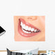 teeth and smile Wall Decal