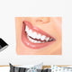 teeth and smile Wall Decal