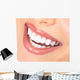 teeth and smile Wall Decal
