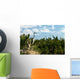 Heron's Nest Colony Wall Mural