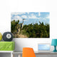 heron's nest colony Wall Mural