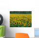 Sunflower Field 1 Wall Mural