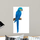 Colourful Parrot Bird Sitting Wall Mural