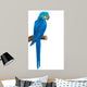 Colourful Parrot Bird Sitting Wall Mural