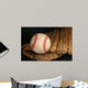 Baseball and Glove Wall Mural