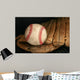 Baseball and Glove Wall Mural