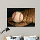 Baseball and Glove Wall Mural