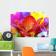 Macro Crocus Flowers Wall Mural