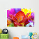 Macro Crocus Flowers Wall Mural