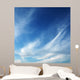 Cirrus Clouds Blue Sky Wall Decal