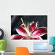 stargazer lily - shallow depth of field Wall Mural