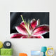 stargazer lily - shallow depth of field Wall Mural