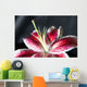 stargazer lily - shallow depth of field Wall Mural