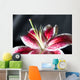 stargazer lily - shallow depth of field Wall Mural