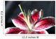 stargazer lily - shallow depth of field Wall Mural