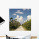 Road Florida Everglades