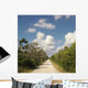 Road Florida Everglades