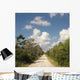 Road Florida Everglades