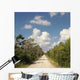 Road Florida Everglades