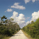 Road Florida Everglades