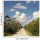 Road Florida Everglades