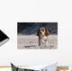 Beagle Puppy Wall Mural