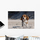 Beagle Puppy Wall Mural