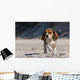 Beagle Puppy Wall Mural