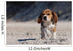 Beagle Puppy Wall Mural