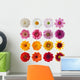 Collection Daisies Wall Decal Sticker Set