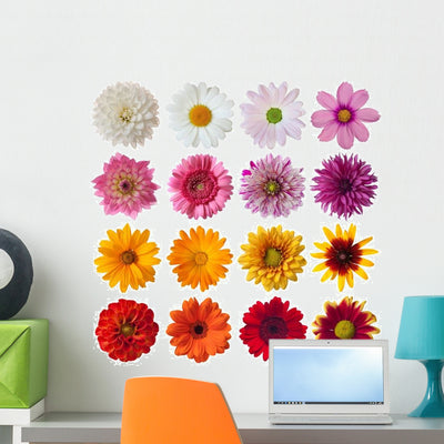 Collection Daisies Wall Decal Sticker Set shown on a wall