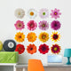 Collection Daisies Wall Decal Sticker Set
