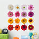 Collection Daisies Wall Decal Sticker Set