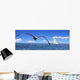 Voiliers Wall Decal