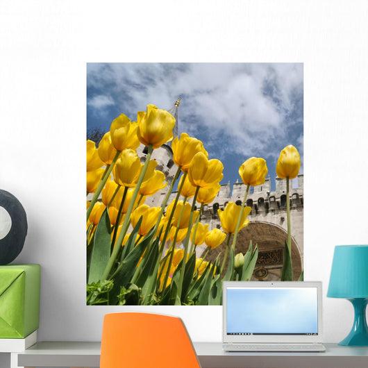 Tulips and Topkapi Palace