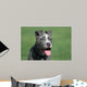 Blue Pit Bull Terrier Wall Mural