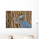 Great Blue Heron Ardea Wall Mural
